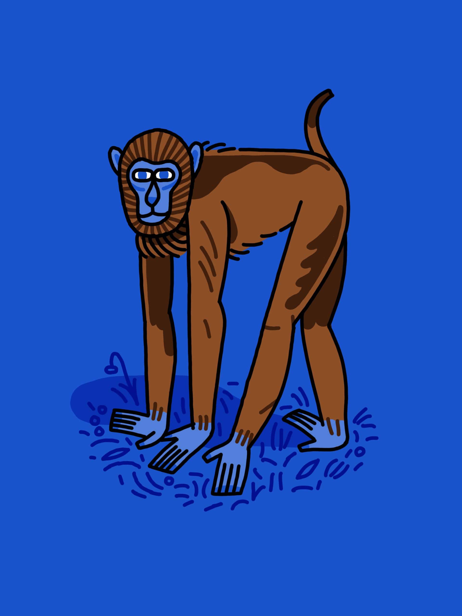Brown Baboon